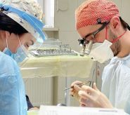 Biodenta, навчальний центр стоматологічної клініки фото
