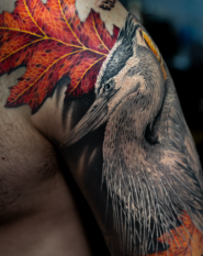 Тату-мастер Никита Корниец фото