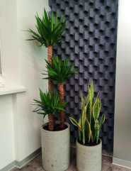 Флорен, квітковий магазин фото