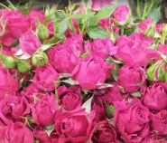 Квітковий ринок, магазин квітів фото