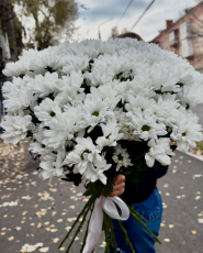 Світ рослин, квіти, рослини опто в роздріб, садовий декор фото