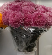 Ромашка, магазин квітів фото