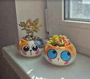 Флорариумы Magic Gardens, цветочный магазин фото