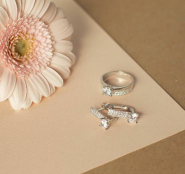 Adamas, ювелірний магазин фото