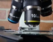 Собаче Серце, ветеринарна клініка фото