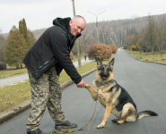 Train Your Dog, кинологический центр фото