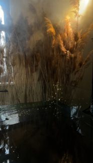 Daniel, фотостудія фото