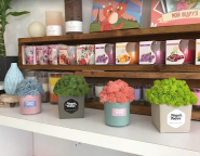 flower power studio, квіти фото