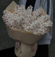 Ігор, галерея квітів фото