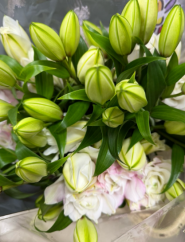 flowers.garden_opt фото