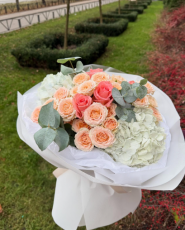 peon vn, цветы фото