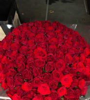 Flower Land, магазин цветов фото