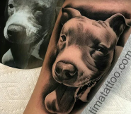 TimaTattoo, тату-салон фото