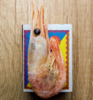 7 гастроном фото