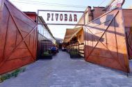 Pivobar, мережа пивних ресторанів фото