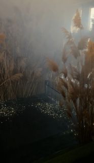 Daniel, фотостудія фото