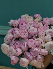 kvitycentr, квіти фото