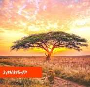 Кампарі-тур, туристичне агентство фото