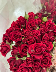 flowers.garden_opt фото