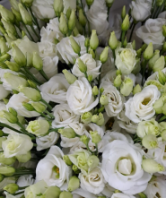 Flower Land, магазин цветов фото