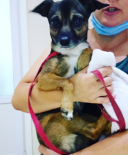 Друг, ветеринарна клініка фото