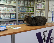 VetМир, ветеринарная клиника фото