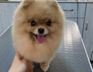 Зоофарм, ветеринарная аптека фото