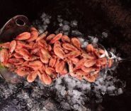 Fishe, рибний магазин фото