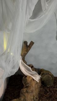 Daniel, фотостудія фото