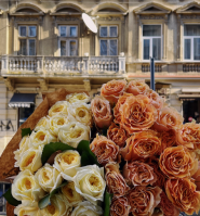 Lystva flowers, квітковий магазин фото