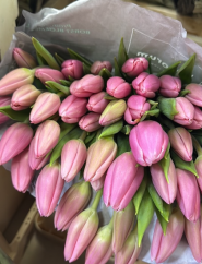 flowers.garden_opt фото