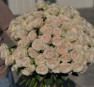 peon vn, цветы фото