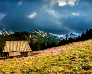 Unique Travel, турагентство фото