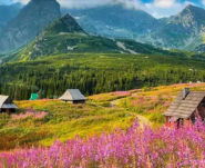 Навколо Світла Tour, турагентство фото
