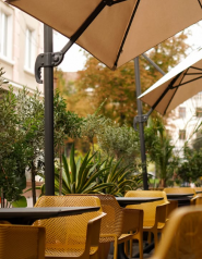 Centrale, ресторан фото