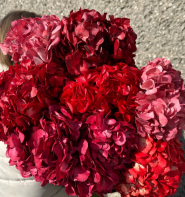 Клумба, квітковий магазин фото