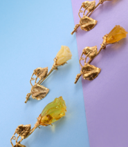 Янтарь Полесья фото