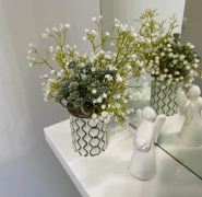 Velour dental clinic, стоматолог фото