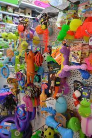 Zooлогія, зоомагазин фото