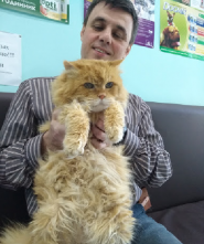 Хатіко, ветеринарна клініка фото