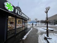 Flowers, магазин квітів фото