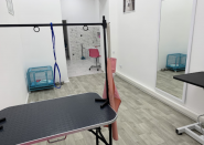 Happy Animals, грумінг фото