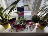 Danas, фізкультурно-оздоровчий центр фото