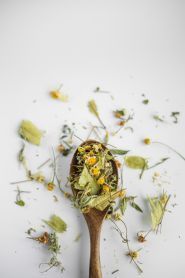 Cvit Kvit, трав’яний чай та фіточай фото