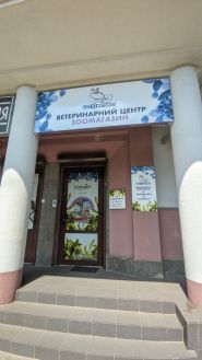 Кот Бегемот, ветеринарна клініка фото