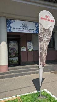 Кот Бегемот, ветеринарна клініка фото