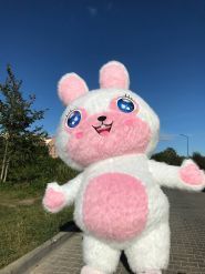 Острівець пригод, організація дитячих свят, ігрова кімната фото