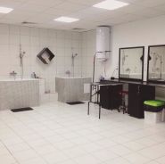 Diamond Grooming Salon, грумінг-салон фото