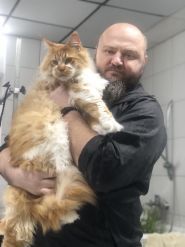 Diamond Grooming Salon, грумінг-салон фото