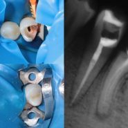 VA Clinic, стоматологія фото